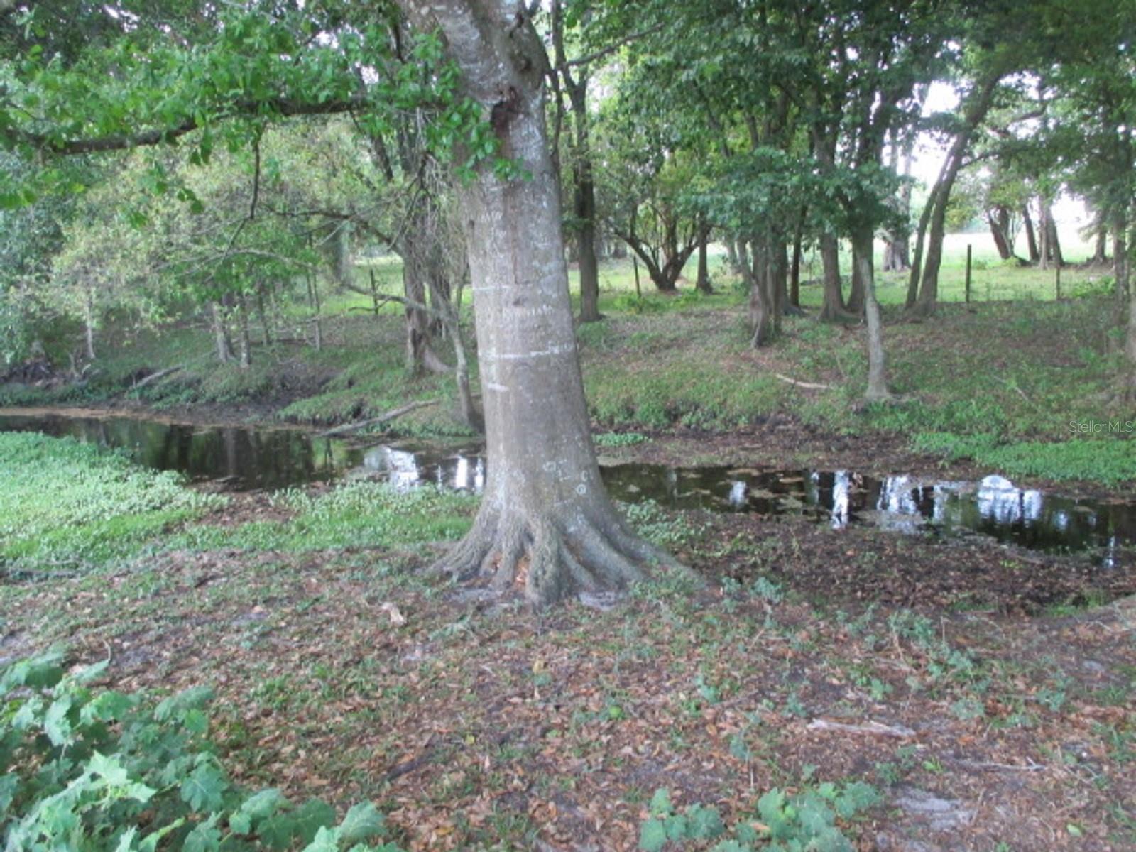 TBD NE 168TH ST, OKEECHOBEE, FL, 34972