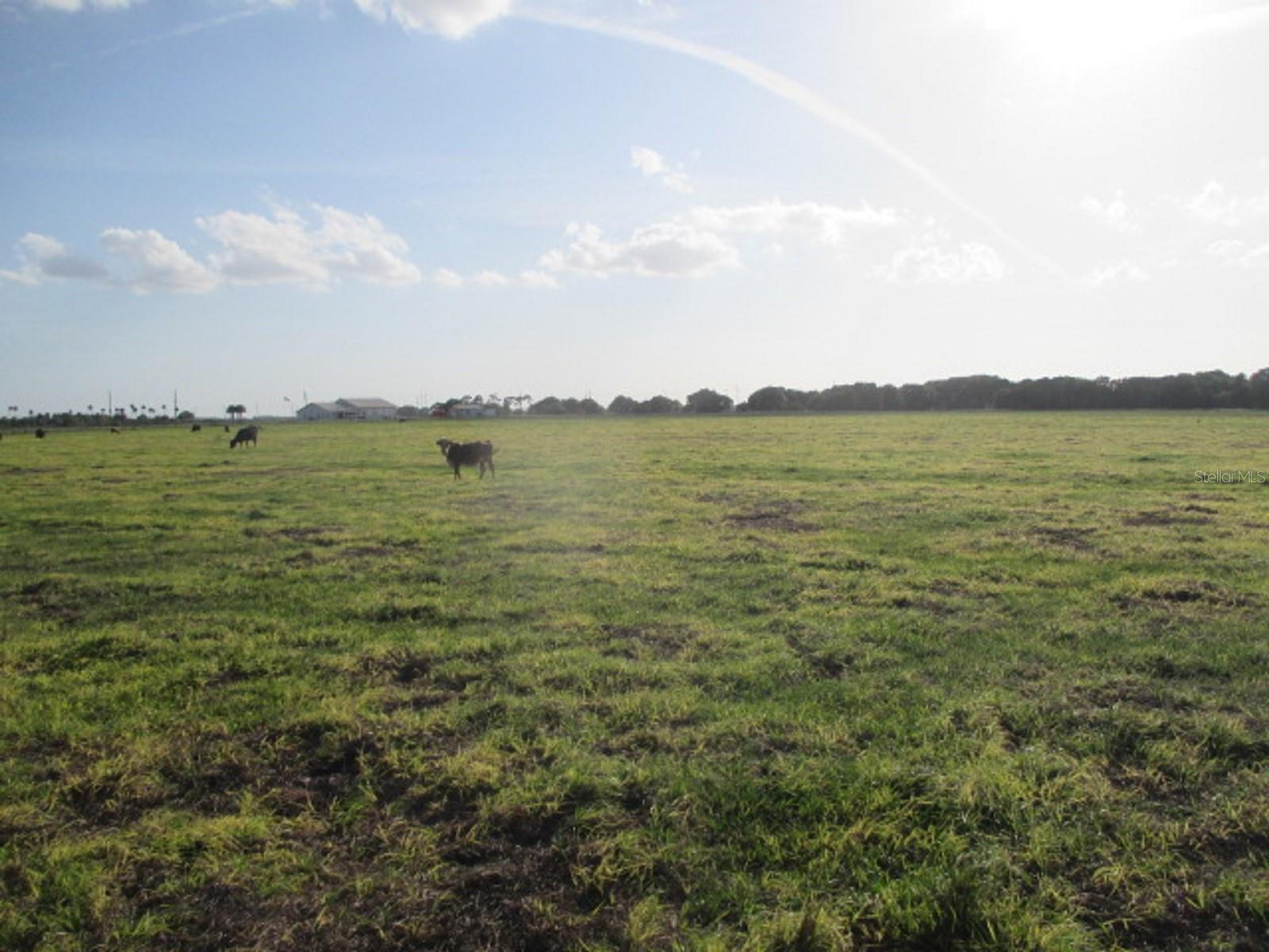 TBD NE 168TH ST, OKEECHOBEE, FL, 34972