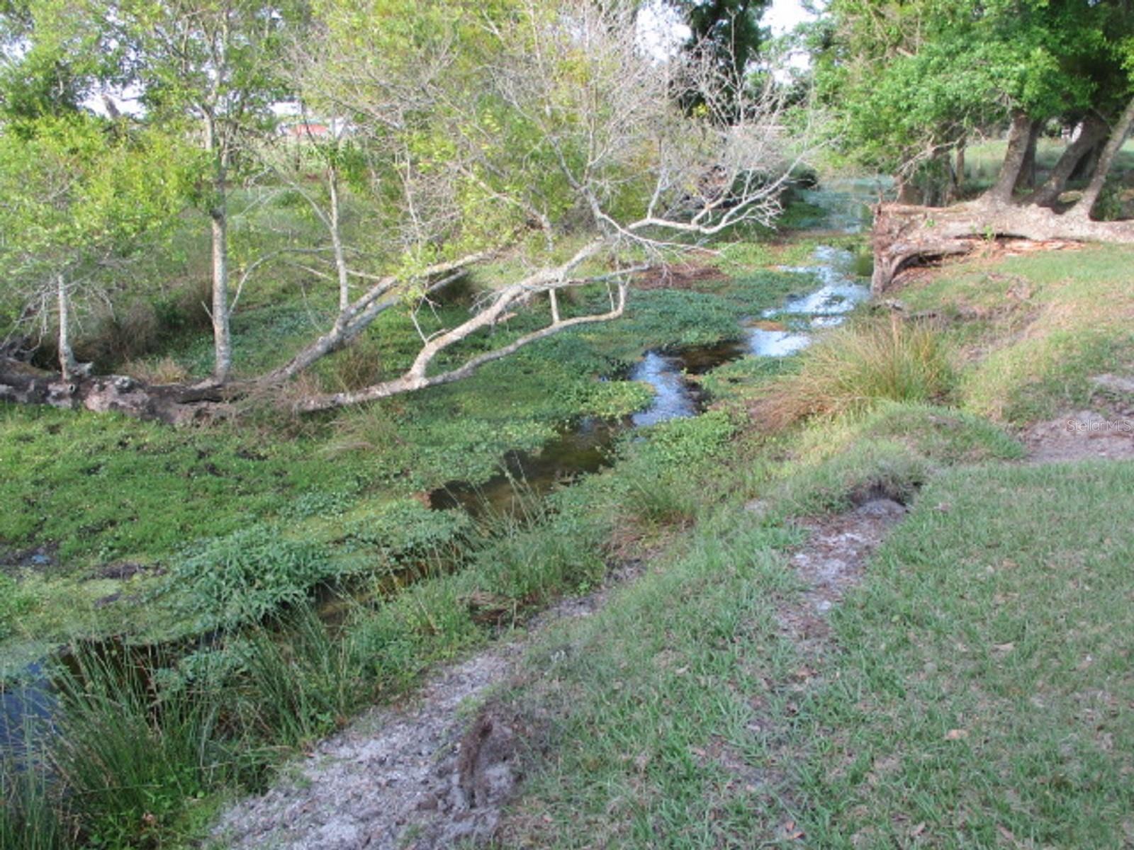 TBD NE 168TH ST, OKEECHOBEE, FL, 34972