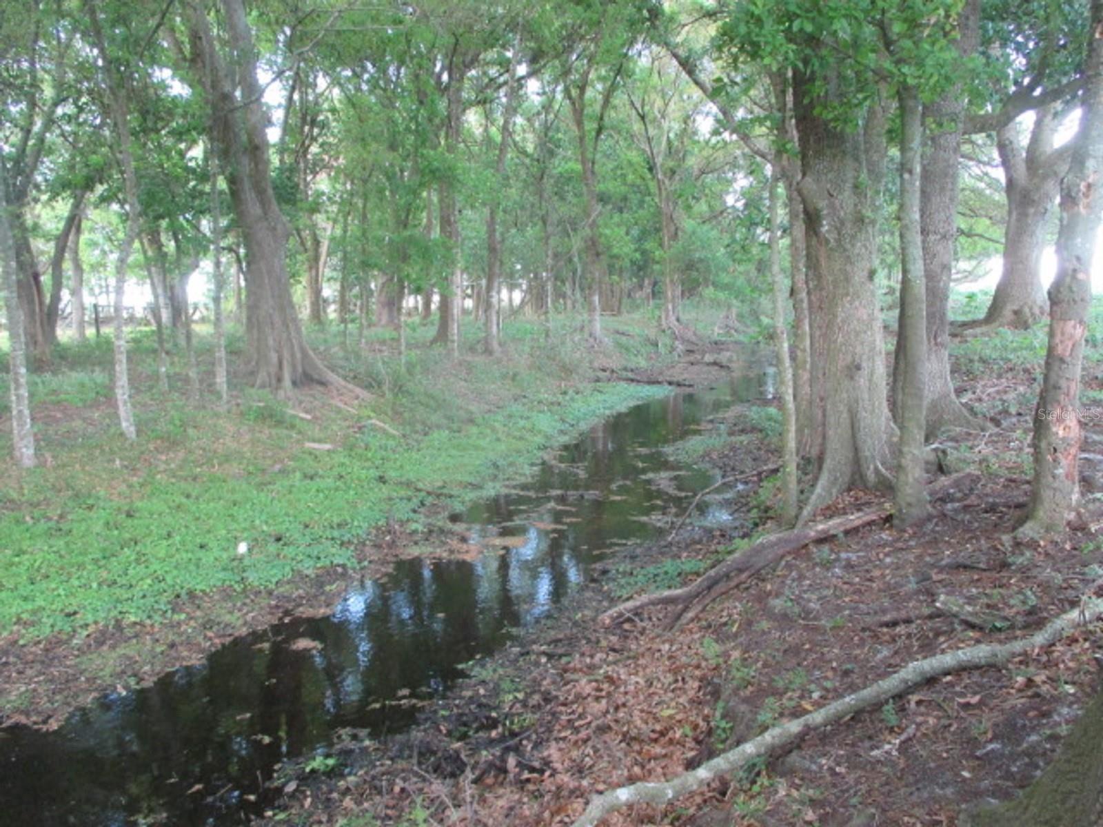 TBD NE 168TH ST, OKEECHOBEE, FL, 34972