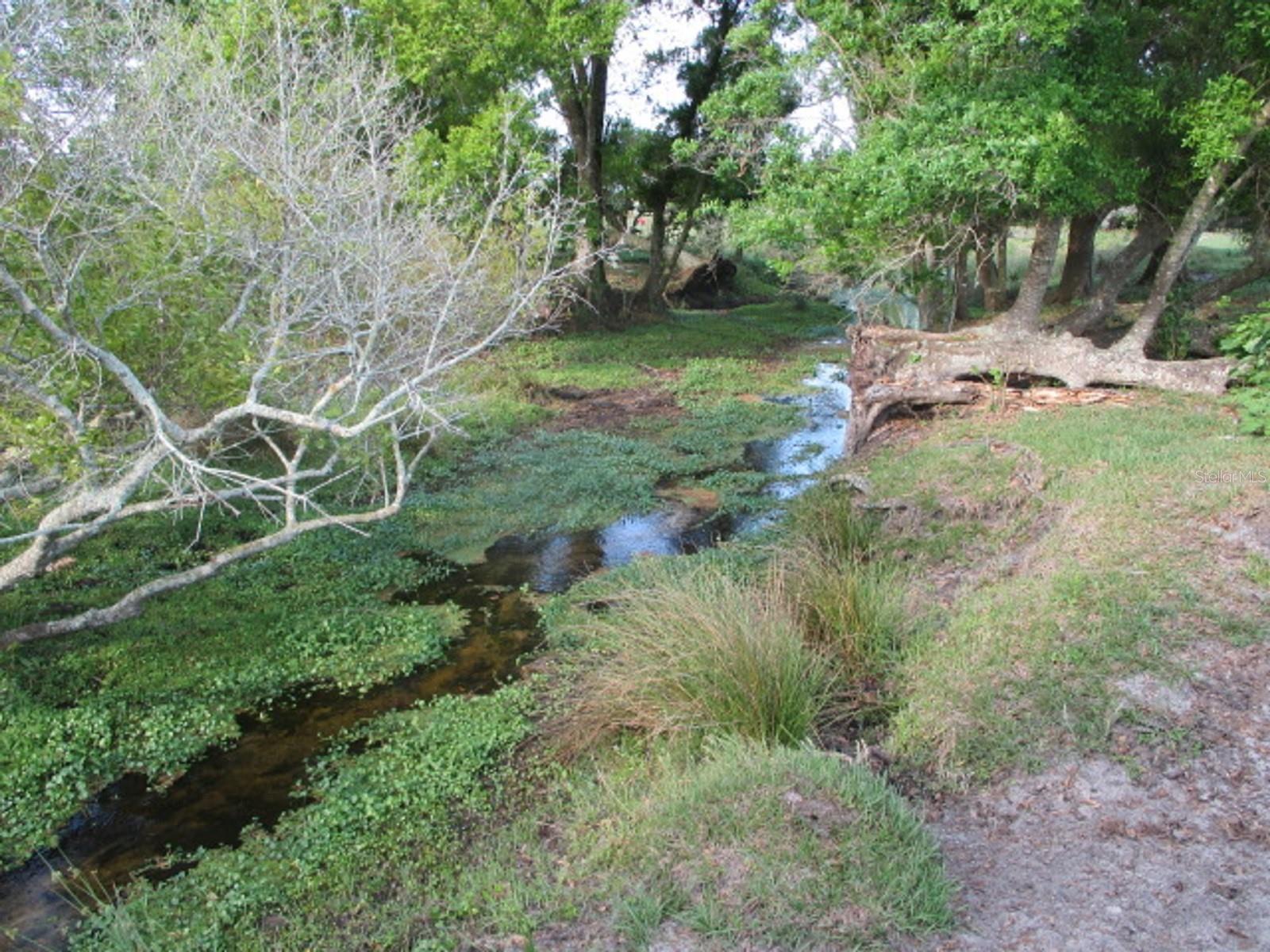 TBD NE 168TH ST, OKEECHOBEE, FL, 34972