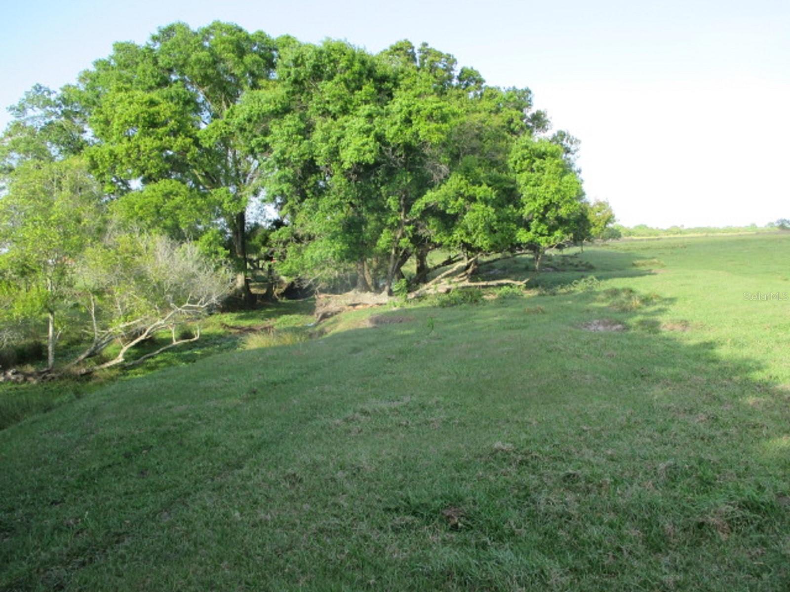 TBD NE 168TH ST, OKEECHOBEE, FL, 34972