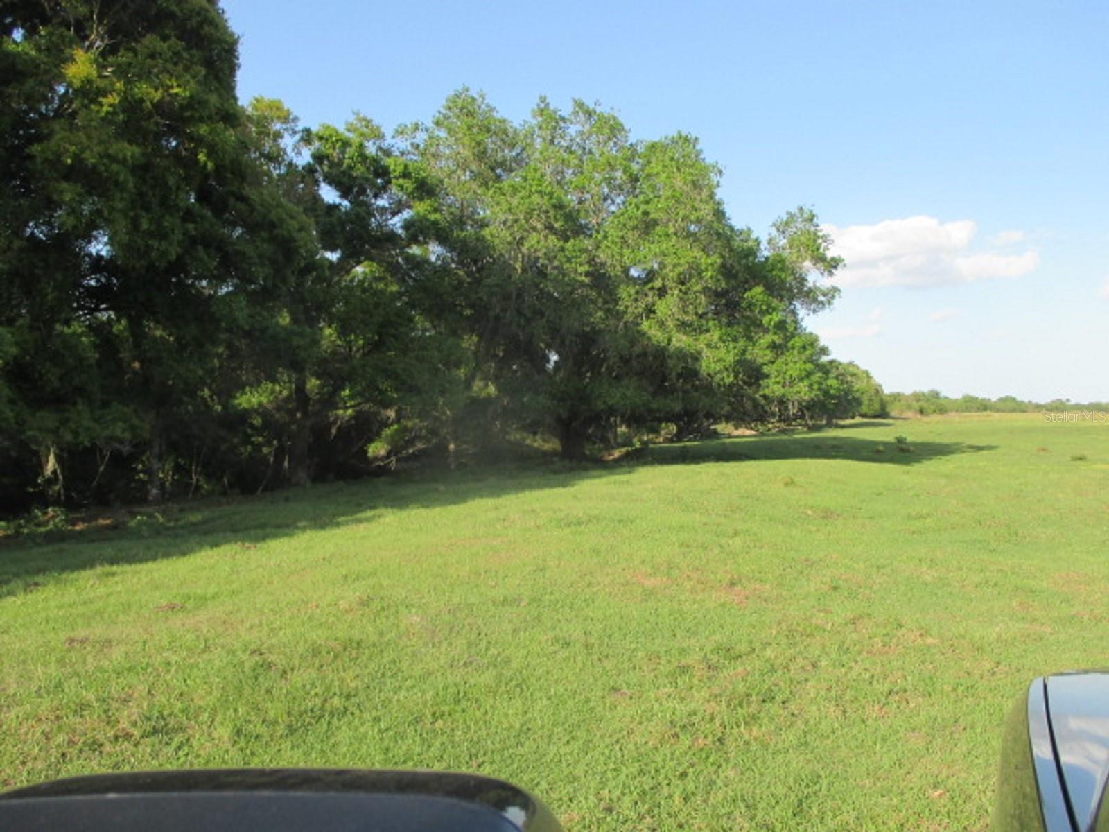 TBD NE 168TH ST, OKEECHOBEE, FL, 34972