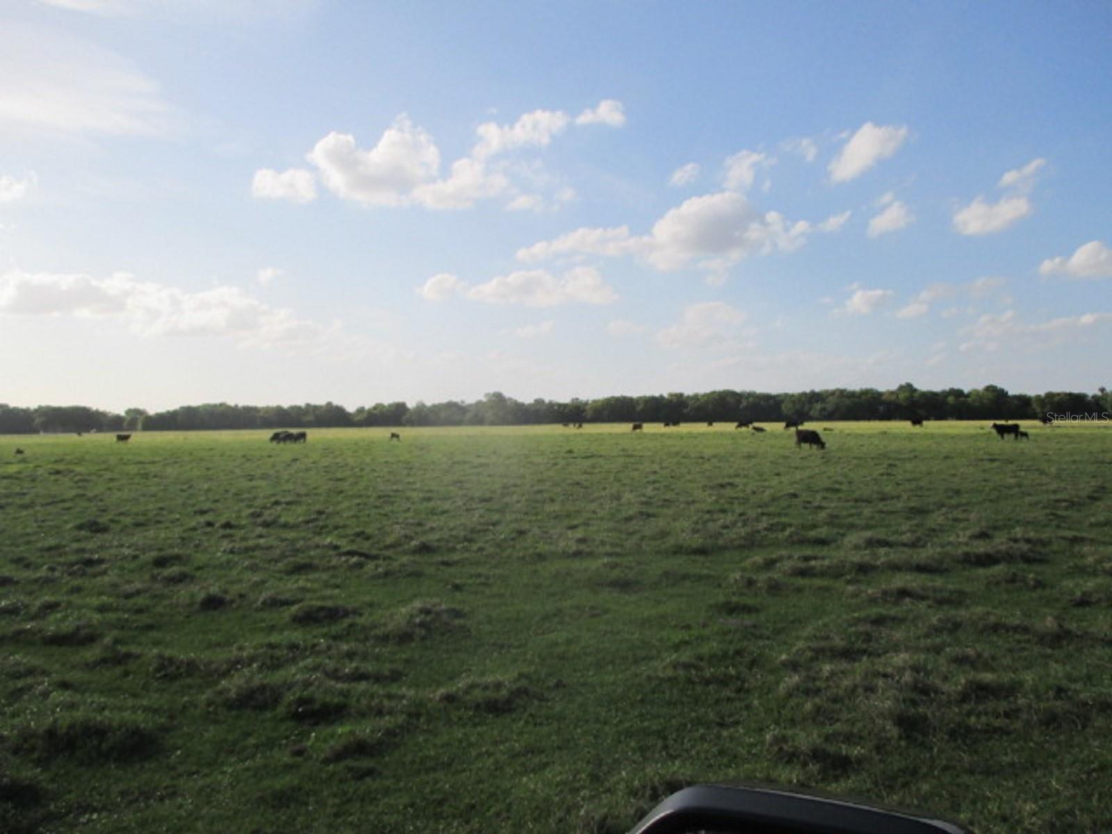 TBD NE 168TH ST, OKEECHOBEE, FL, 34972