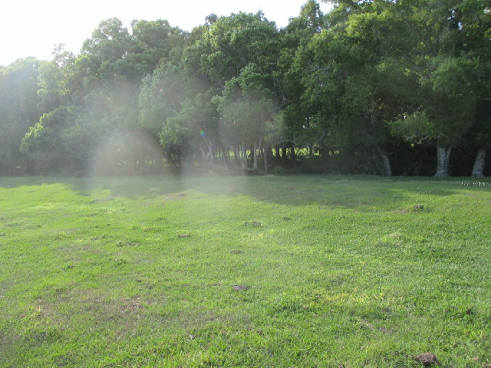 TBD NE 168TH ST, OKEECHOBEE, FL, 34972