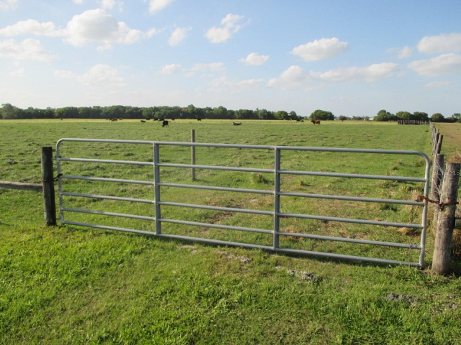 TBD NE 168TH ST, OKEECHOBEE, FL, 34972