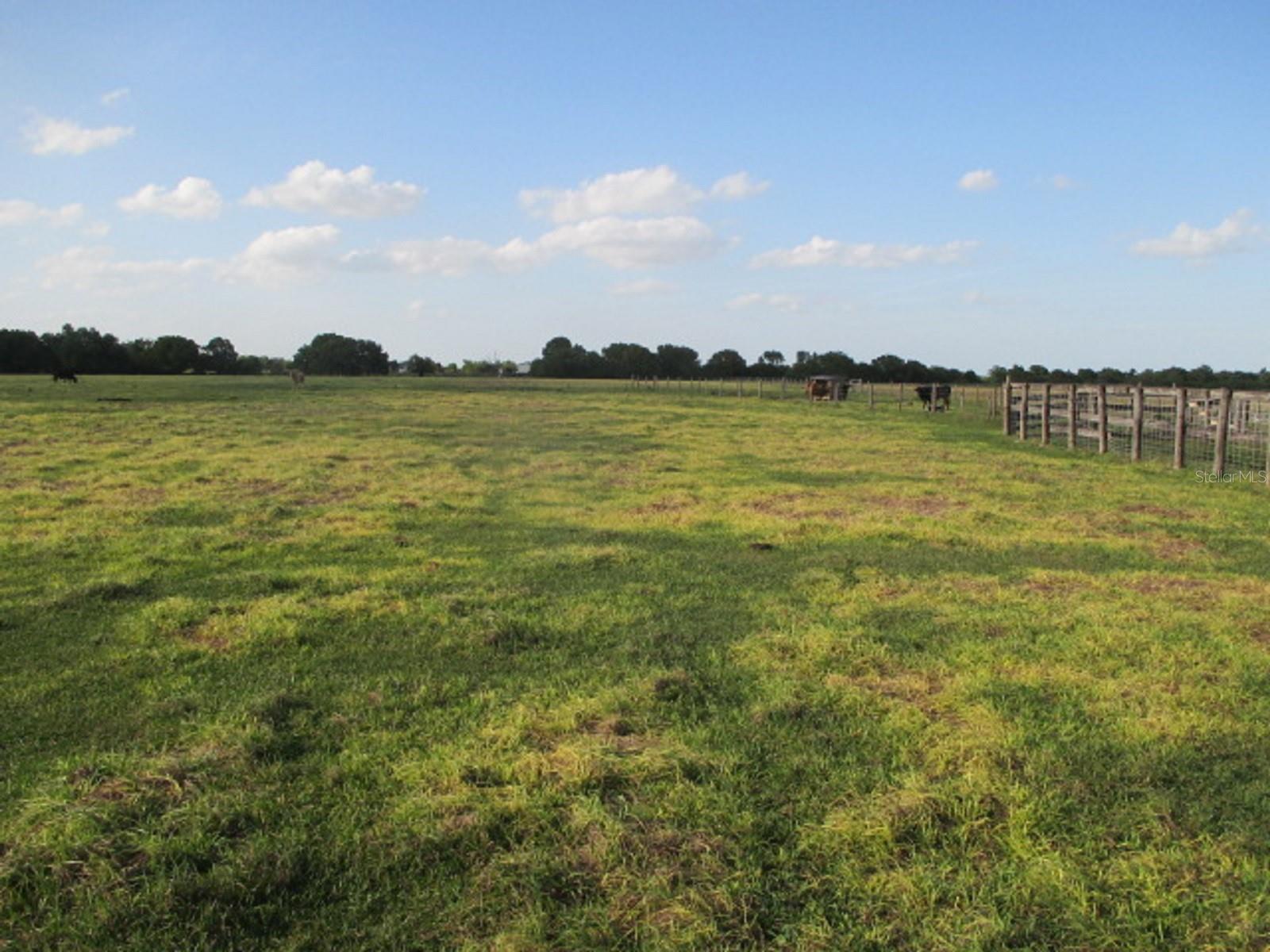 TBD NE 168TH ST, OKEECHOBEE, FL, 34972