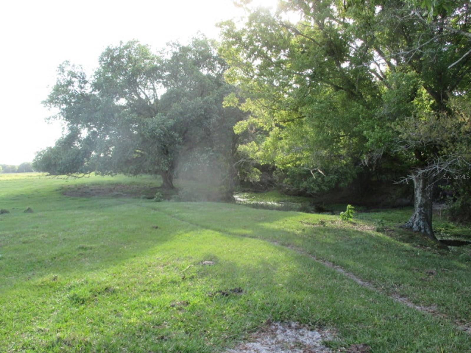 TBD NE 168TH ST, OKEECHOBEE, FL, 34972