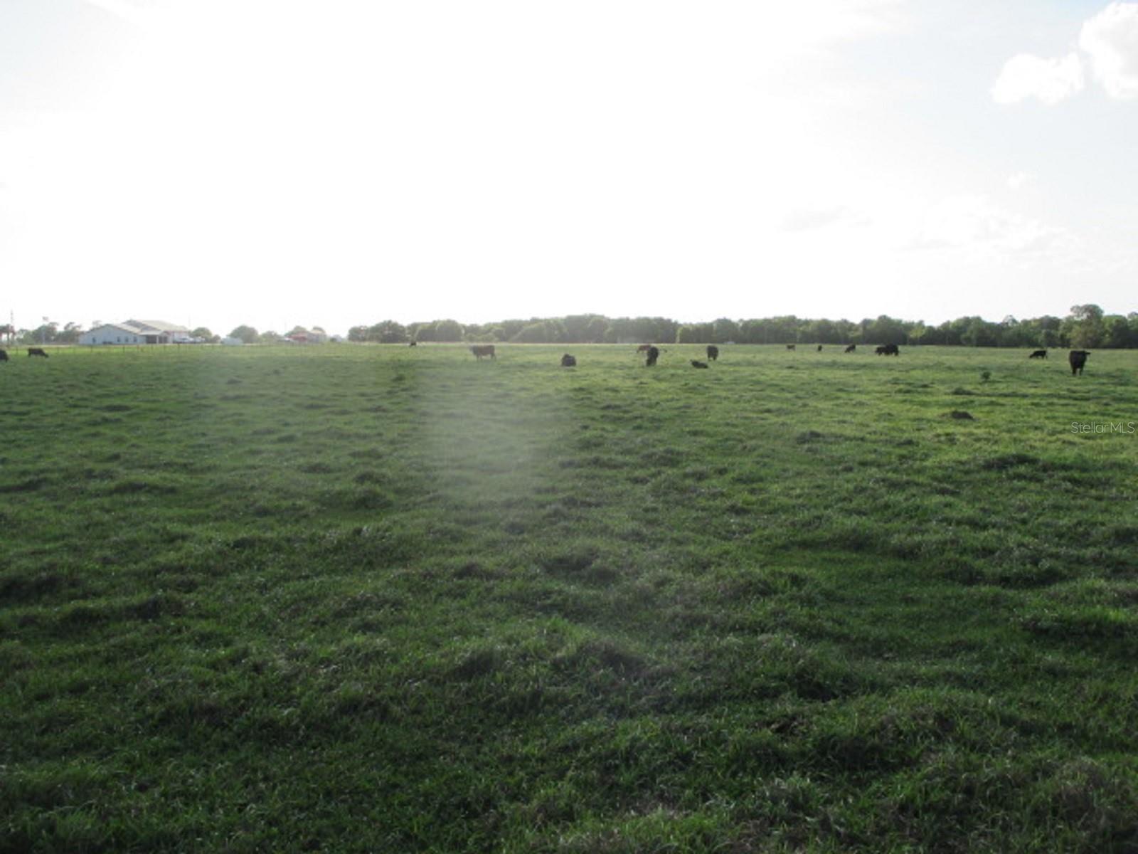 TBD NE 168TH ST, OKEECHOBEE, FL, 34972