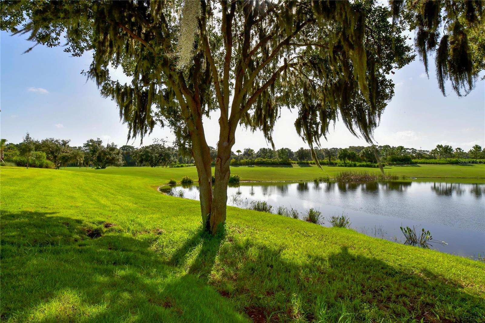 13732 MESSINA LOOP #201, BRADENTON, FL, 34211