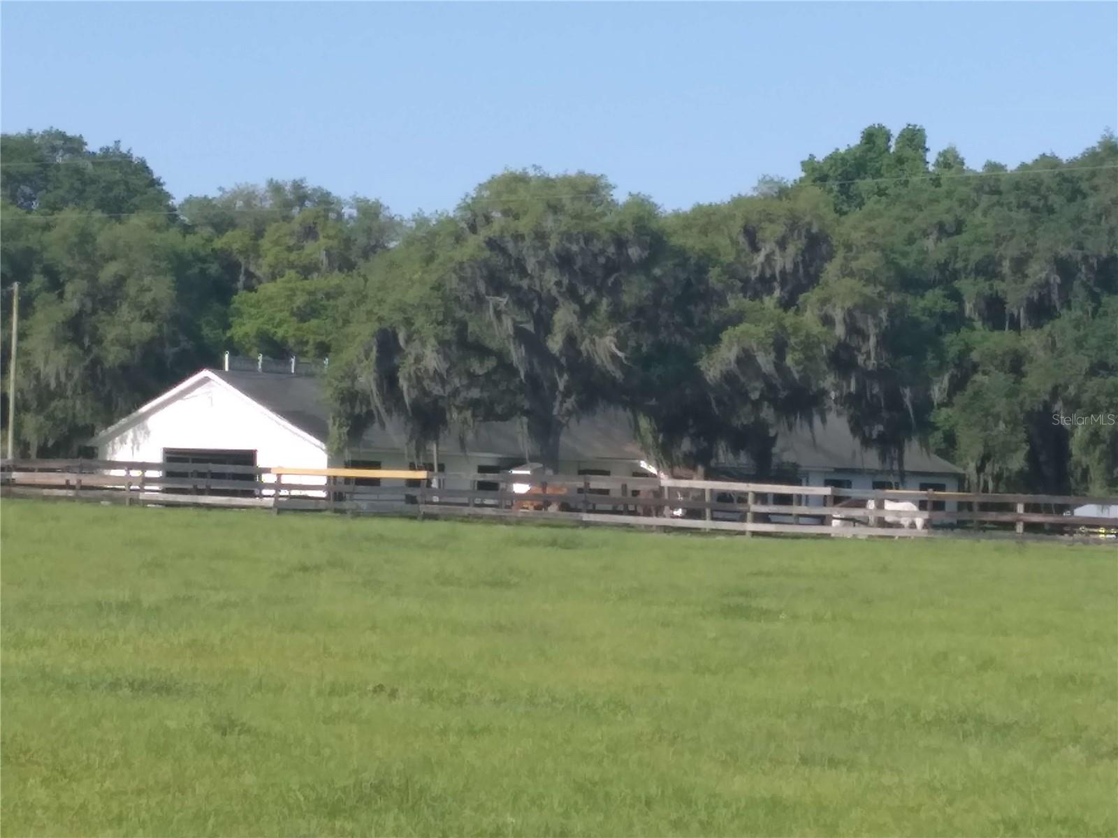8035 NW 120TH ST, REDDICK, FL, 32686
