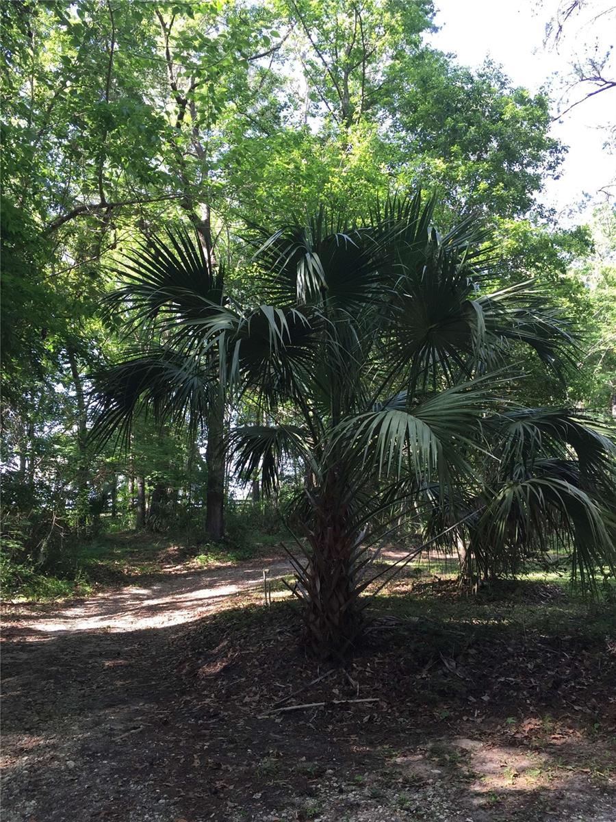 8035 NW 120TH ST, REDDICK, FL, 32686
