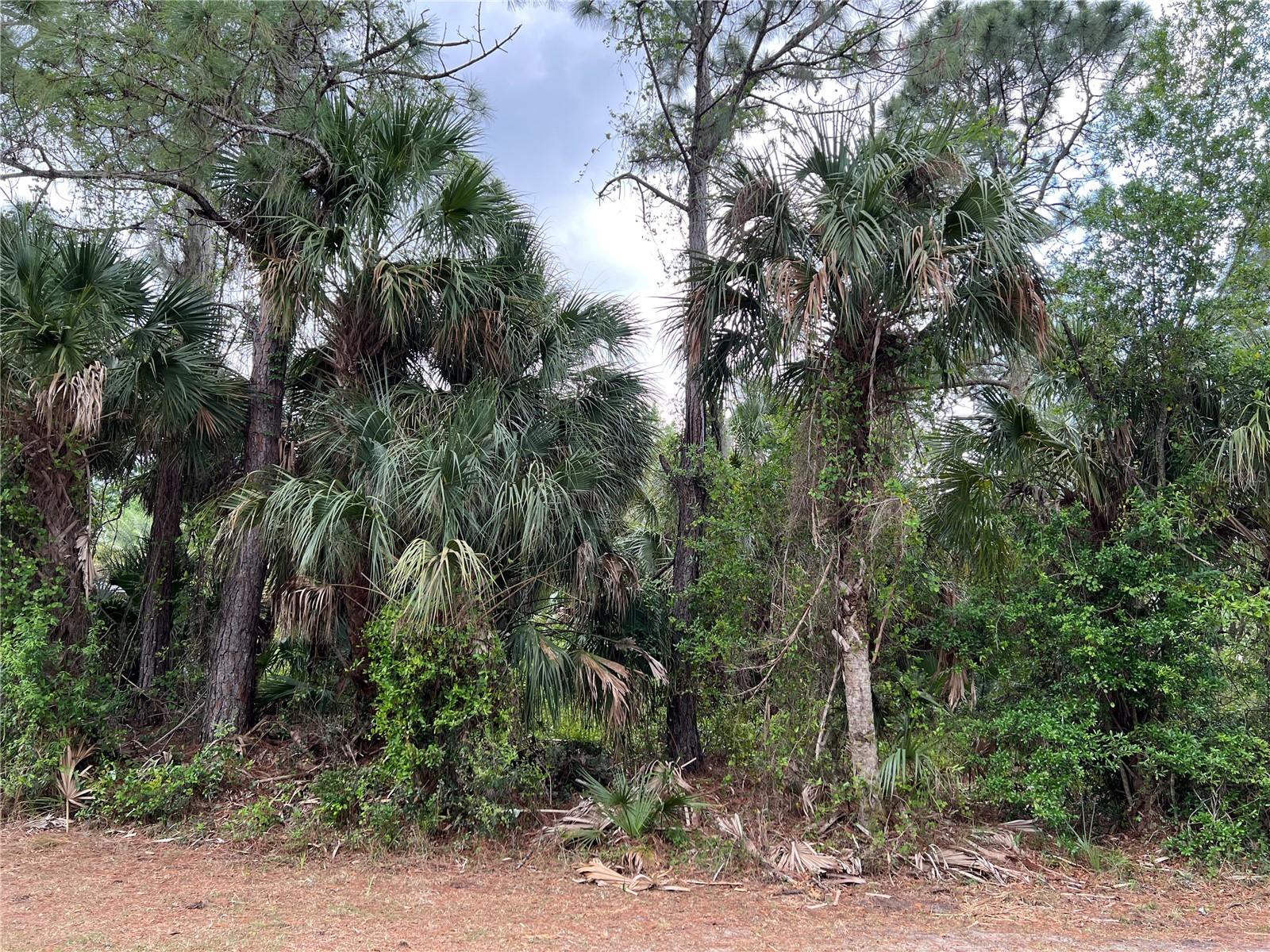 VOGLER LN, NORTH PORT, FL, 34286