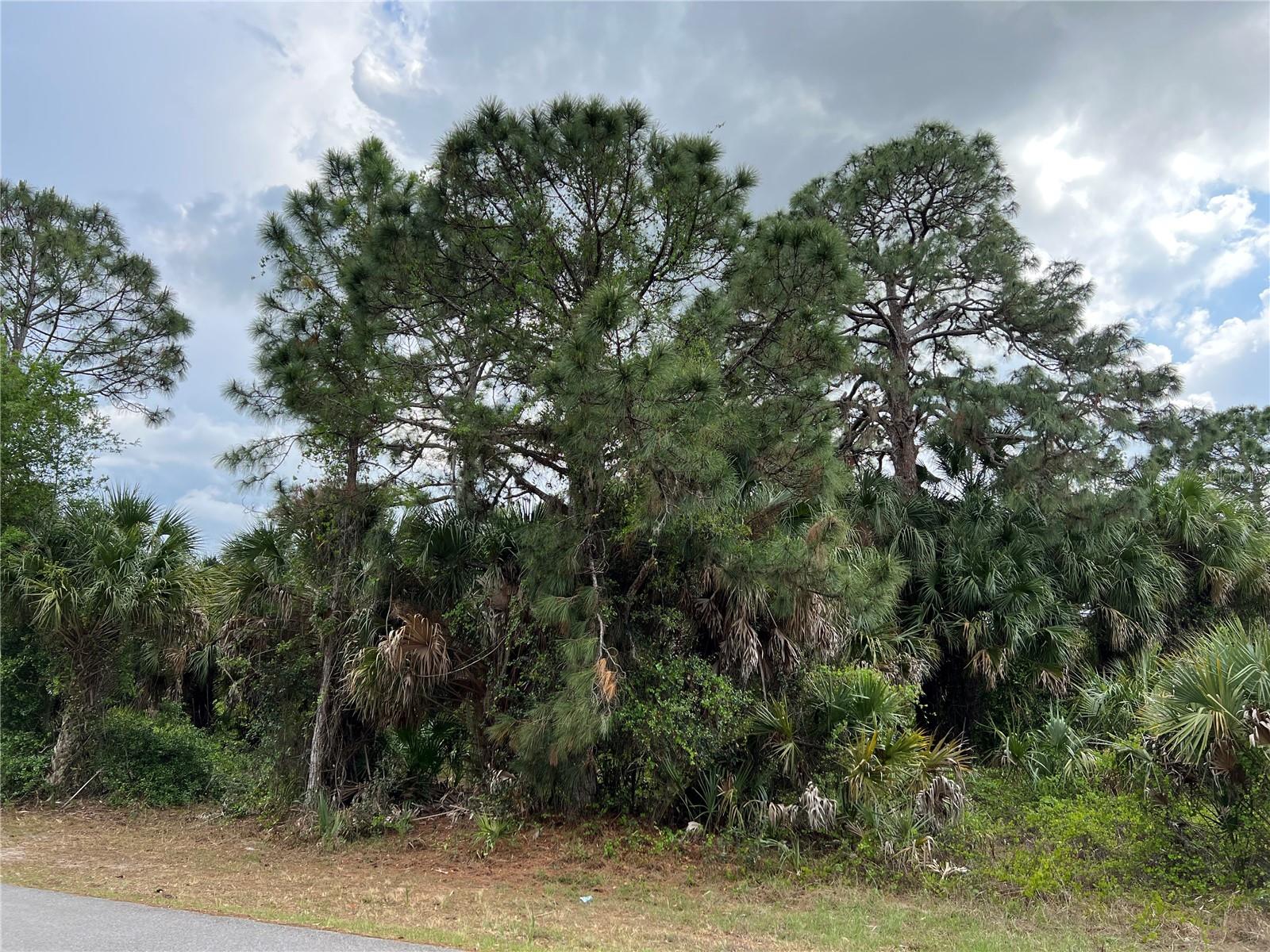 VOGLER LN, NORTH PORT, FL, 34286