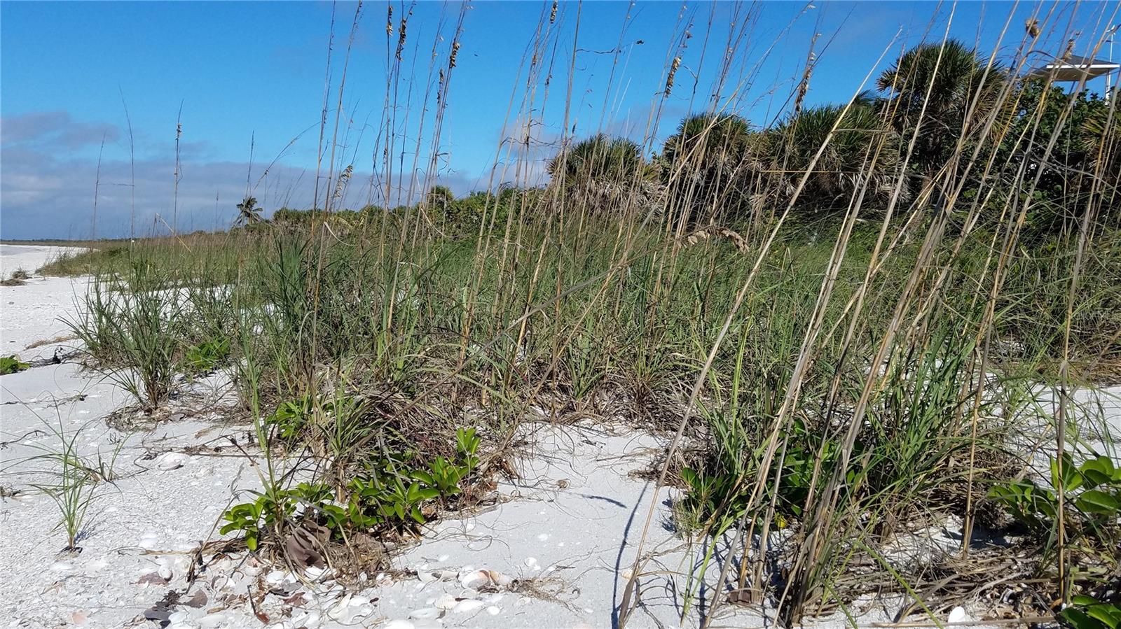 ACCESS UNDETERMINED, BOKEELIA, FL, 33922