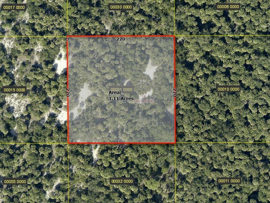 ACCESS UNDETERMINED, BOKEELIA, FL, 33922