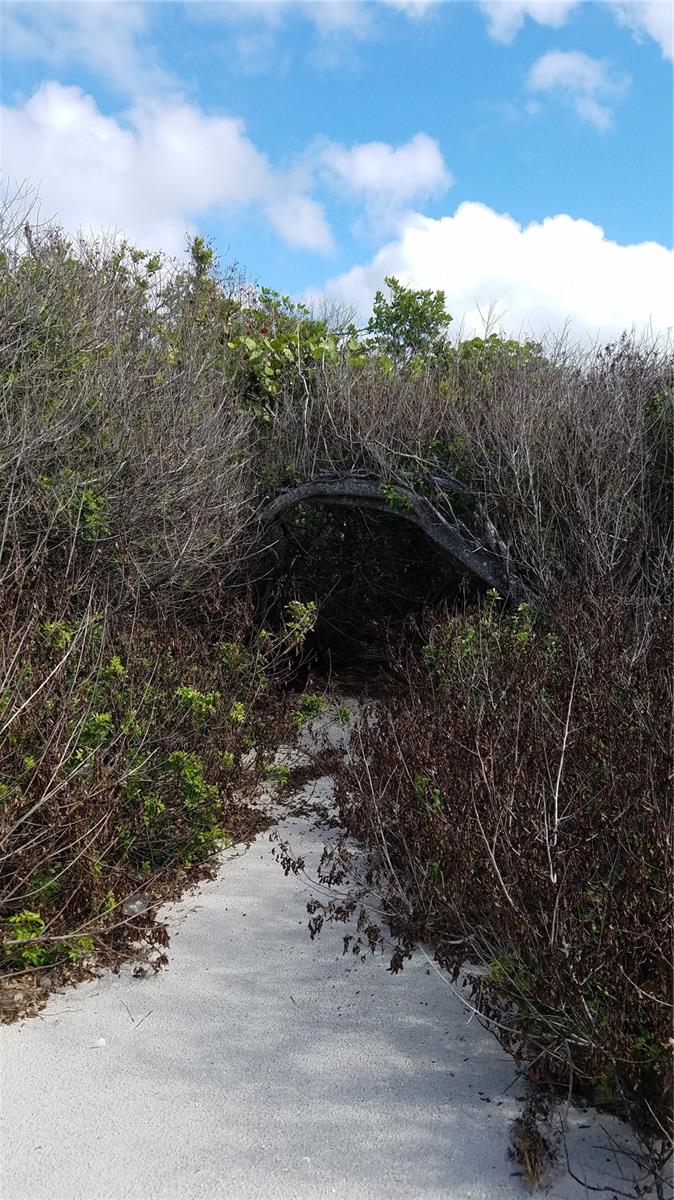 ACCESS UNDETERMINED, BOKEELIA, FL, 33922