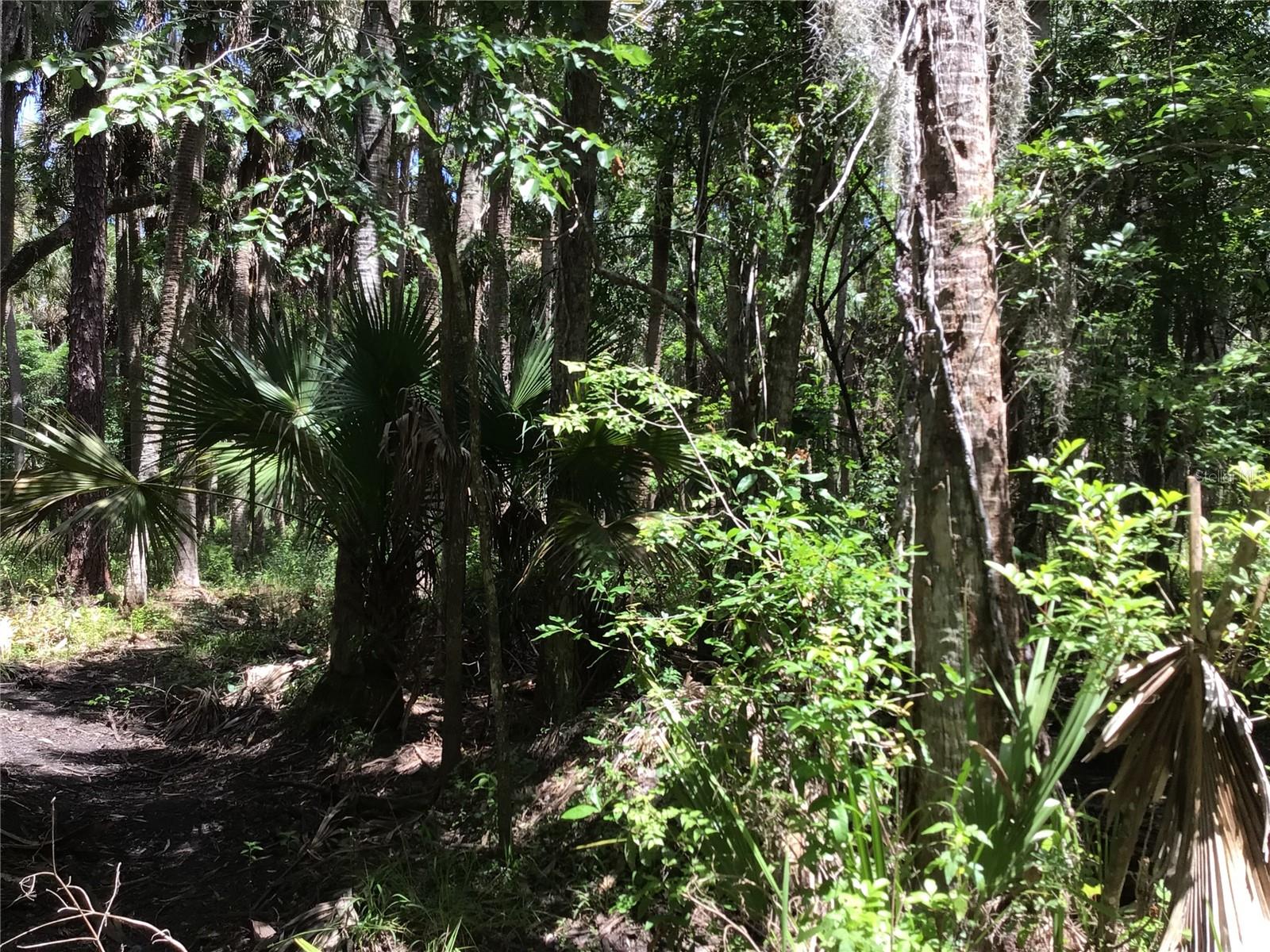 S MELLONVILLE AVE, SANFORD, FL, 32773