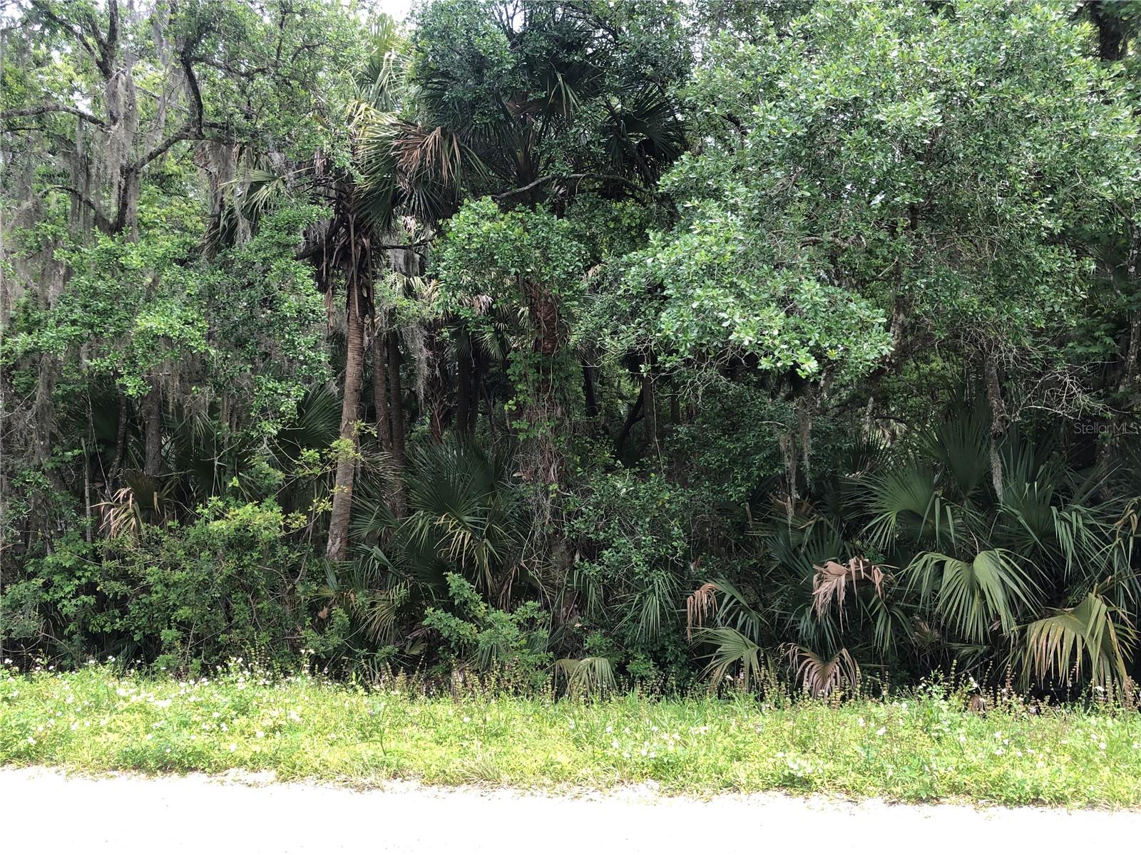 S MELLONVILLE AVE, SANFORD, FL, 32773