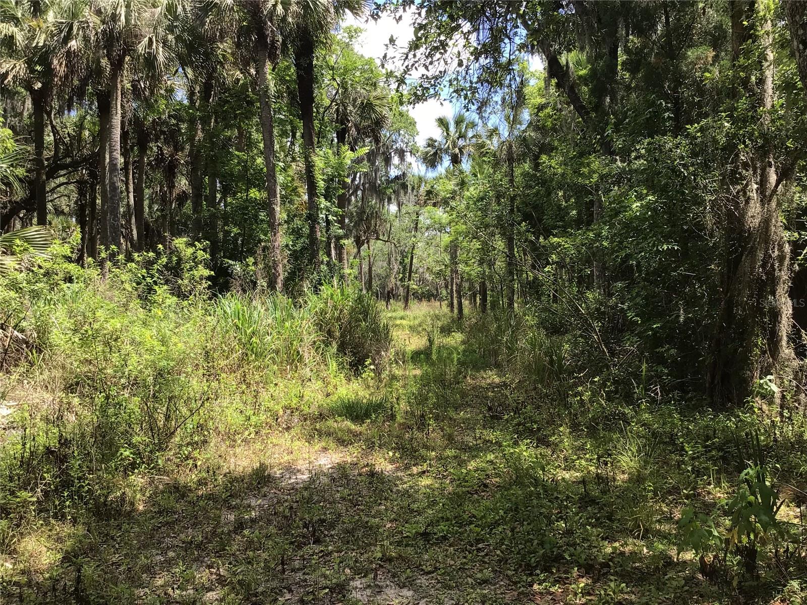 S MELLONVILLE AVE, SANFORD, FL, 32773