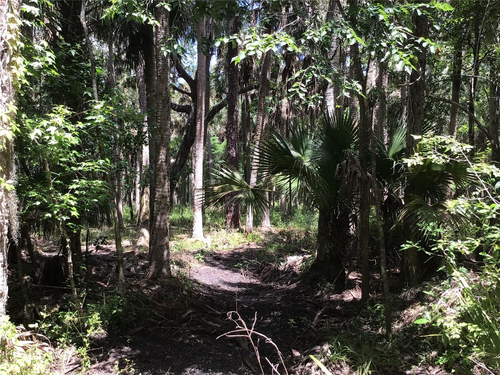 S MELLONVILLE AVE, SANFORD, FL, 32773