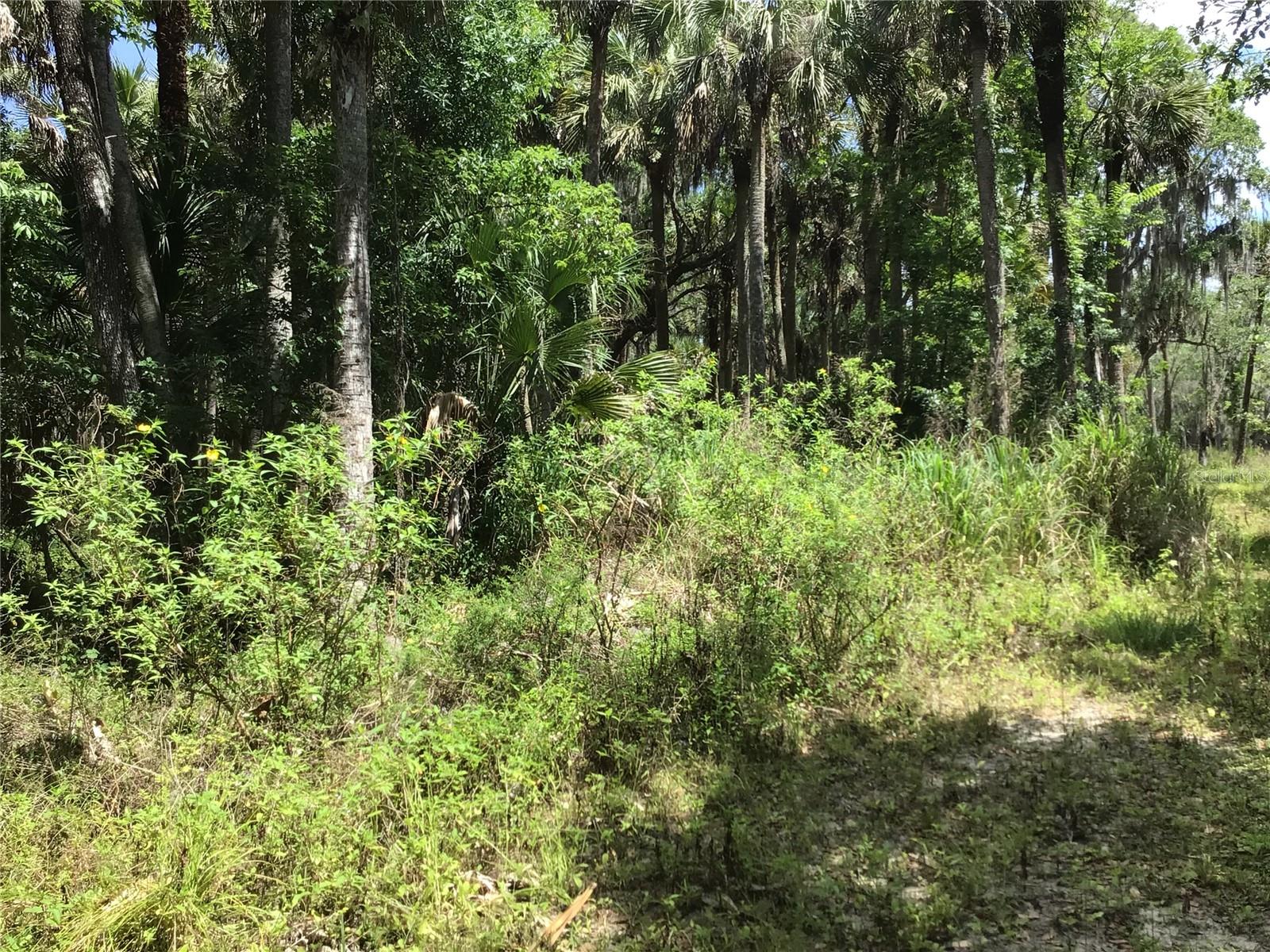 S MELLONVILLE AVE, SANFORD, FL, 32773