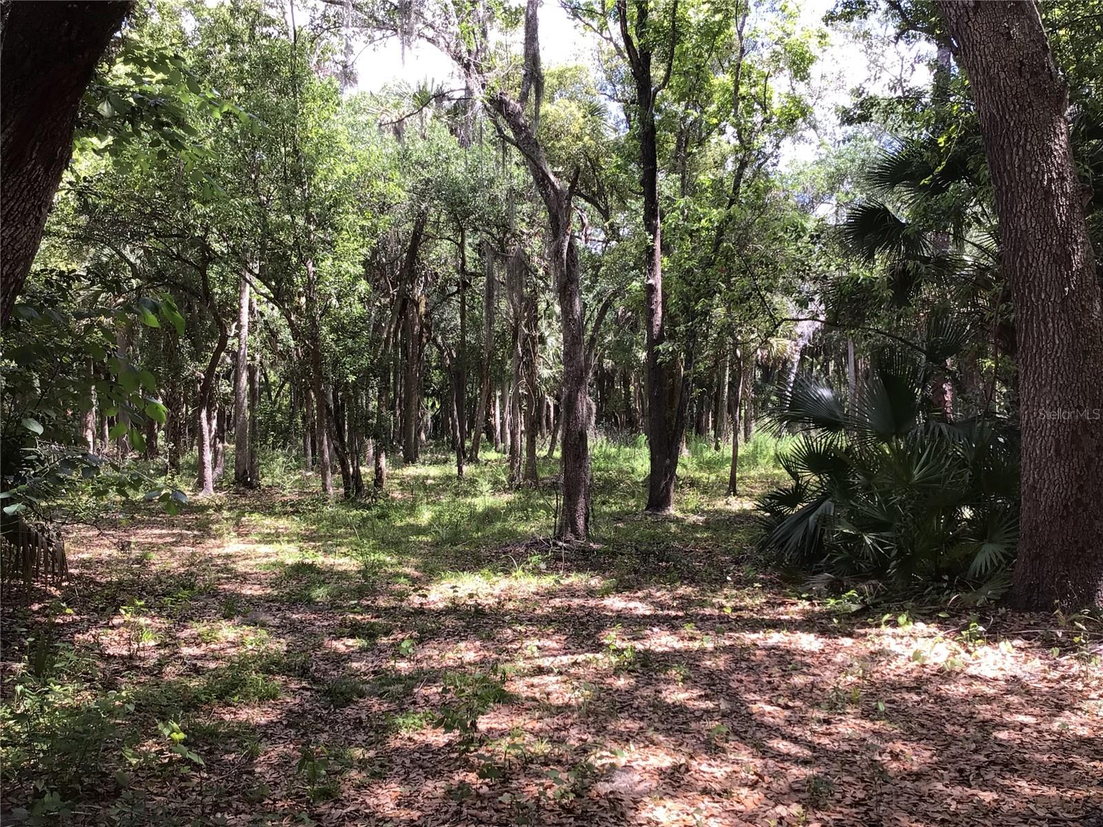 S MELLONVILLE AVE, SANFORD, FL, 32773
