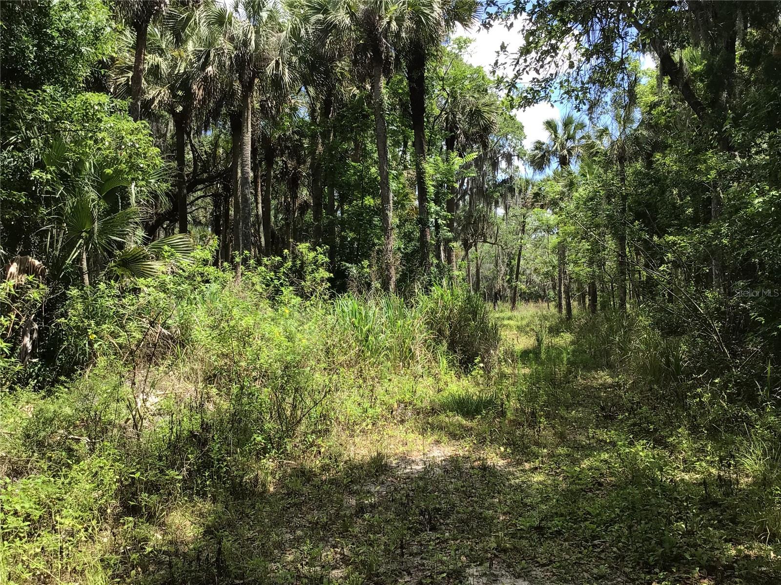 S MELLONVILLE AVE, SANFORD, FL, 32773