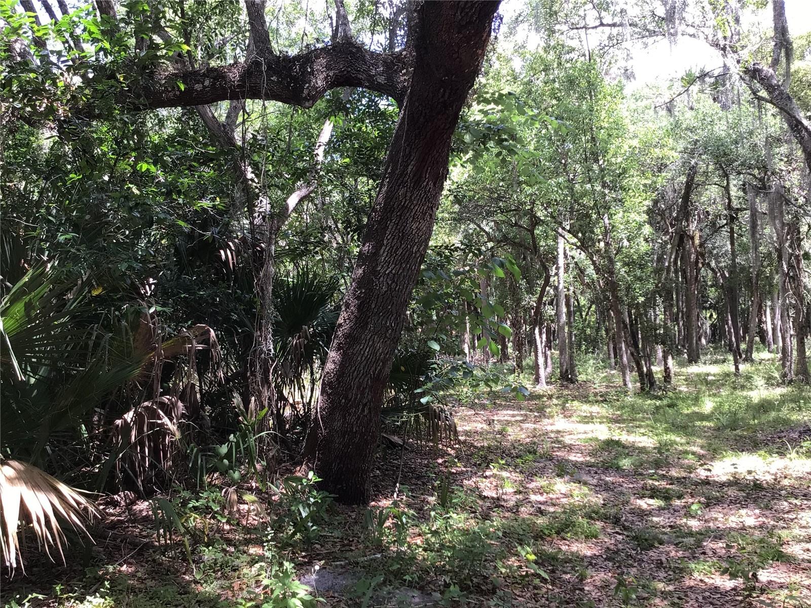 S MELLONVILLE AVE, SANFORD, FL, 32773
