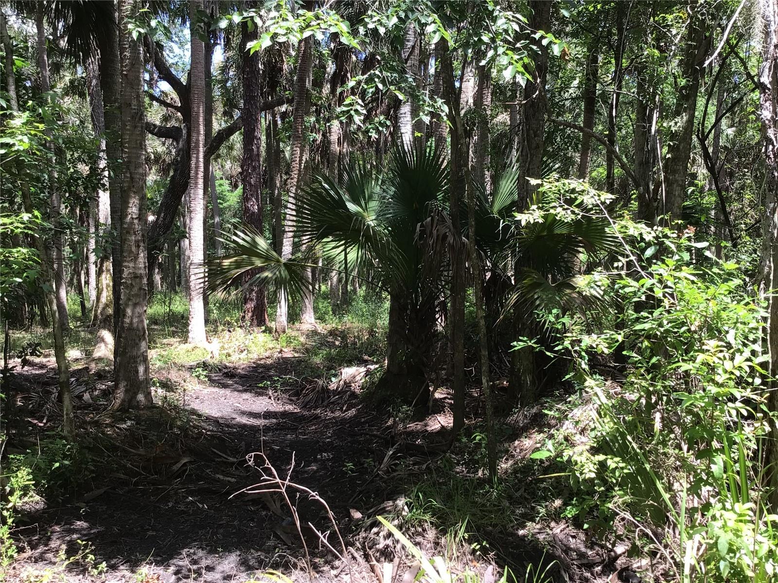 S MELLONVILLE AVE, SANFORD, FL, 32773