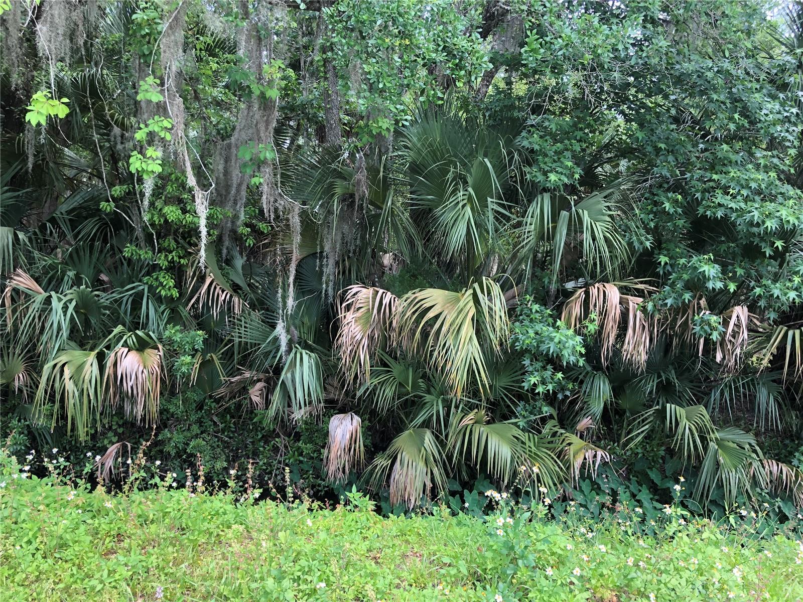 S MELLONVILLE AVE, SANFORD, FL, 32773