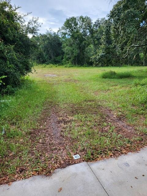 0 CAIN RD, TAMPA, FL, 33625