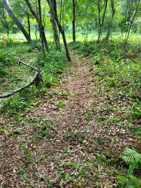 0 CAIN RD, TAMPA, FL, 33625