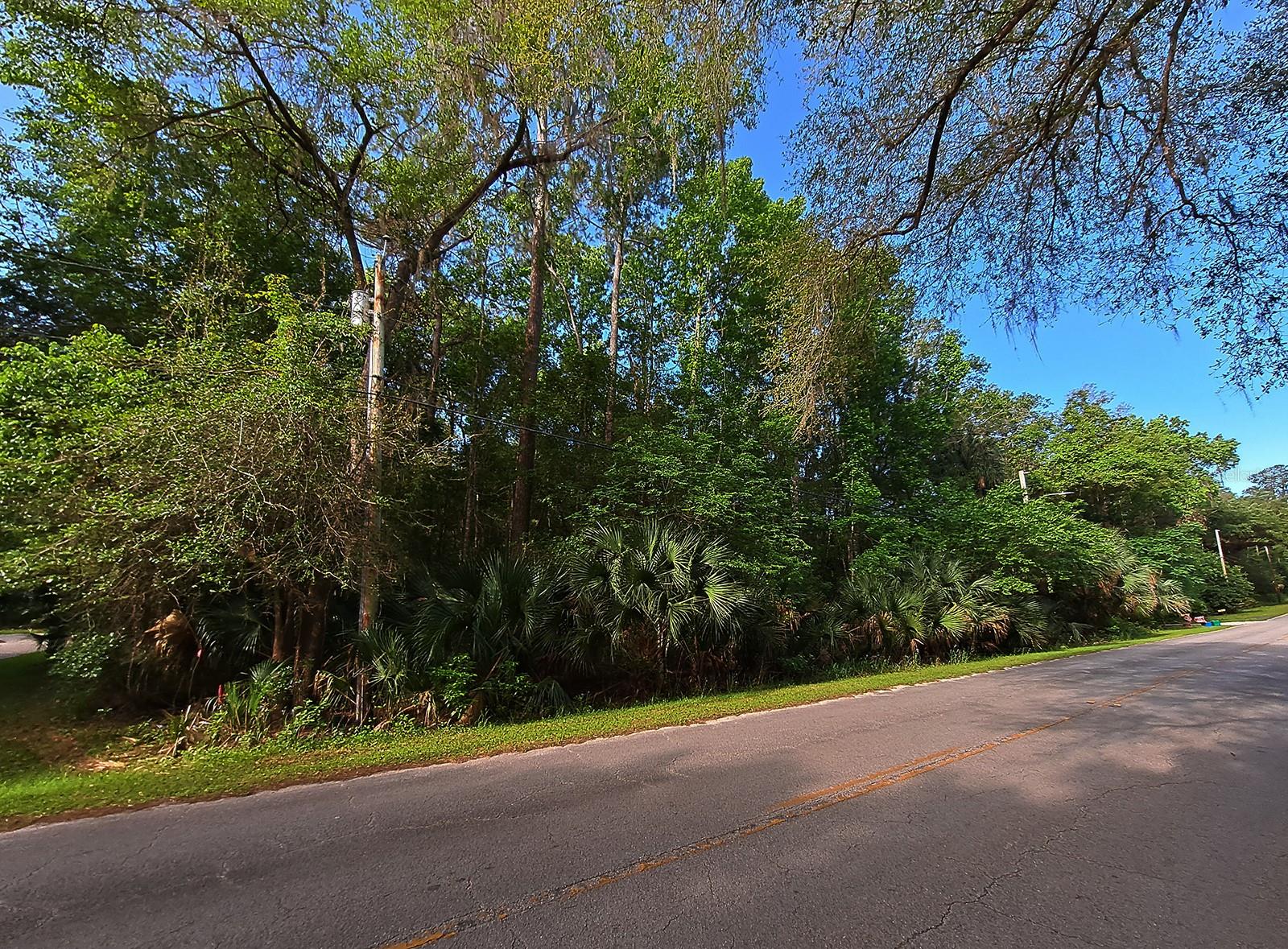 00 TUSCAWILLA RD, MICANOPY, FL, 32667