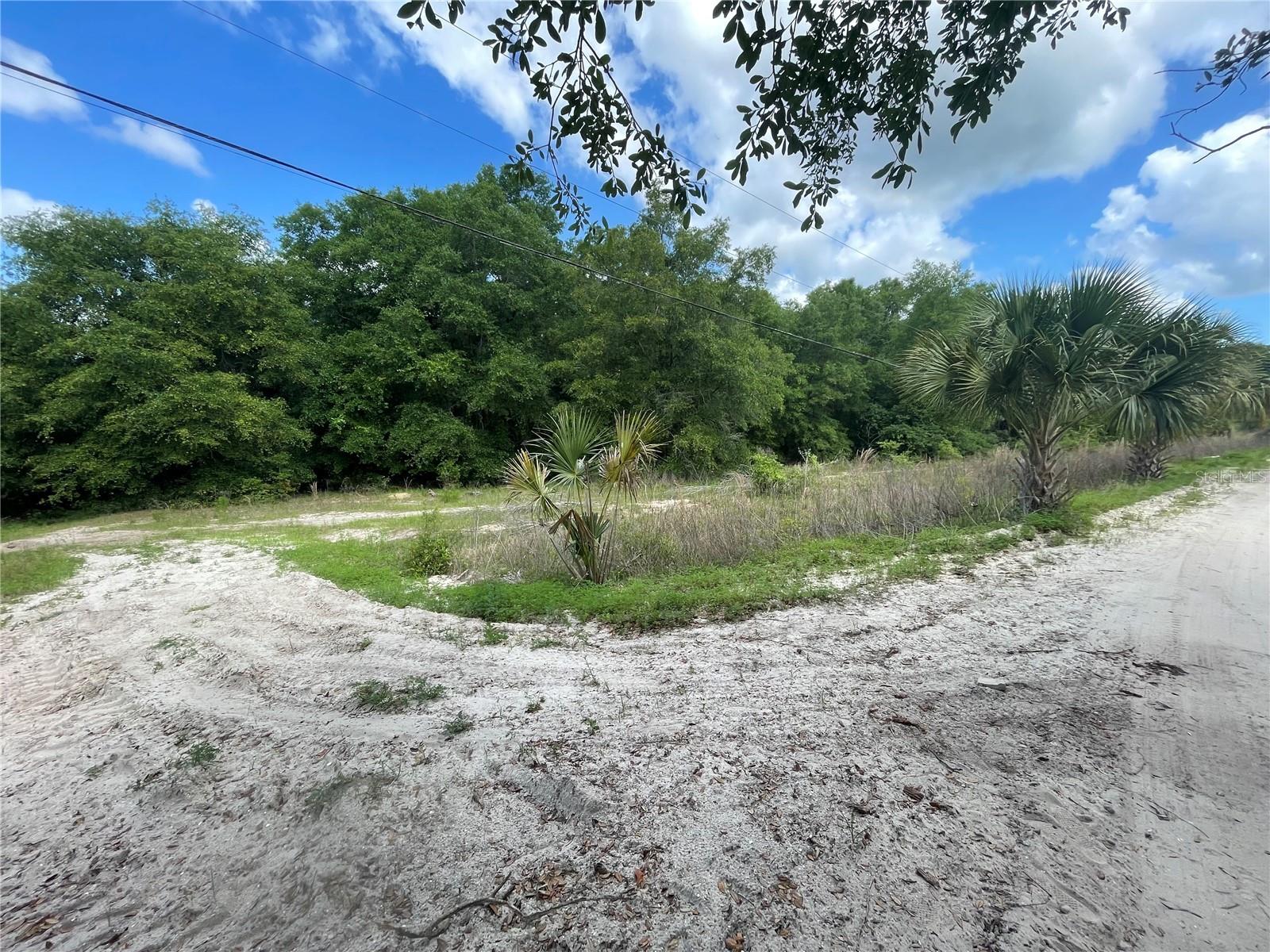 103 FRONTIER DR, SATSUMA, FL, 32189