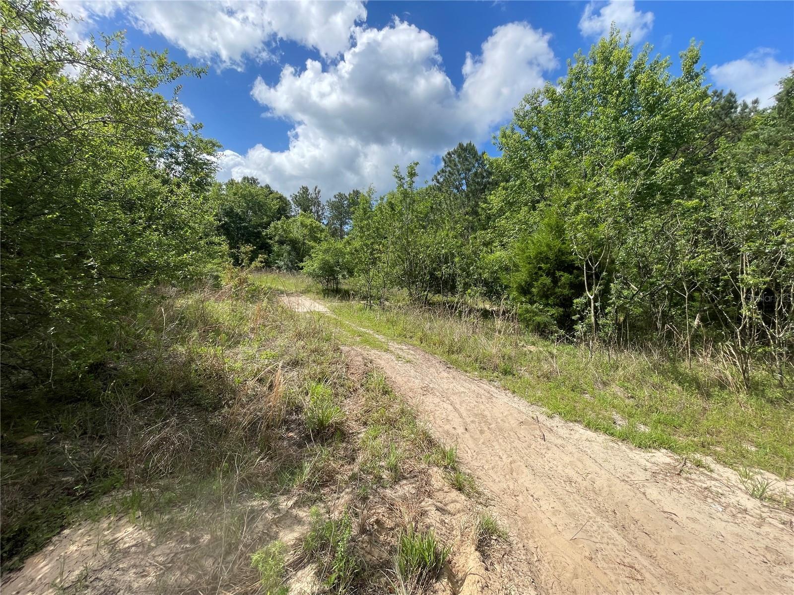 103 FRONTIER DR, SATSUMA, FL, 32189