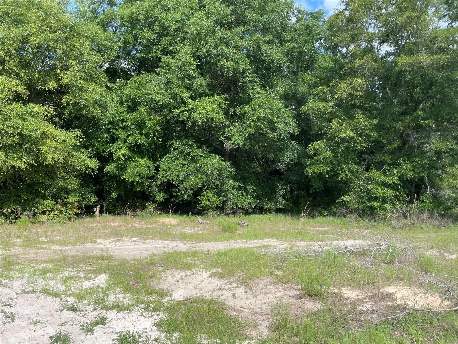 103 FRONTIER DR, SATSUMA, FL, 32189