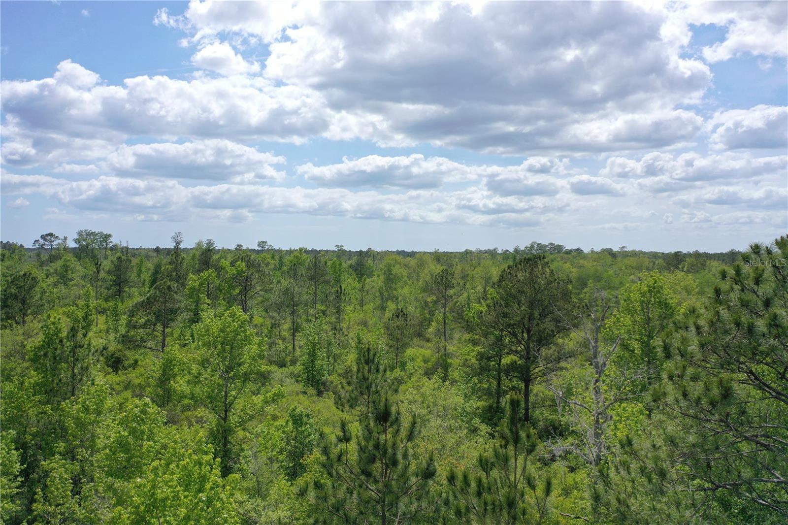 0 SW WINCHESTER TRL, GREENVILLE, FL, 32331