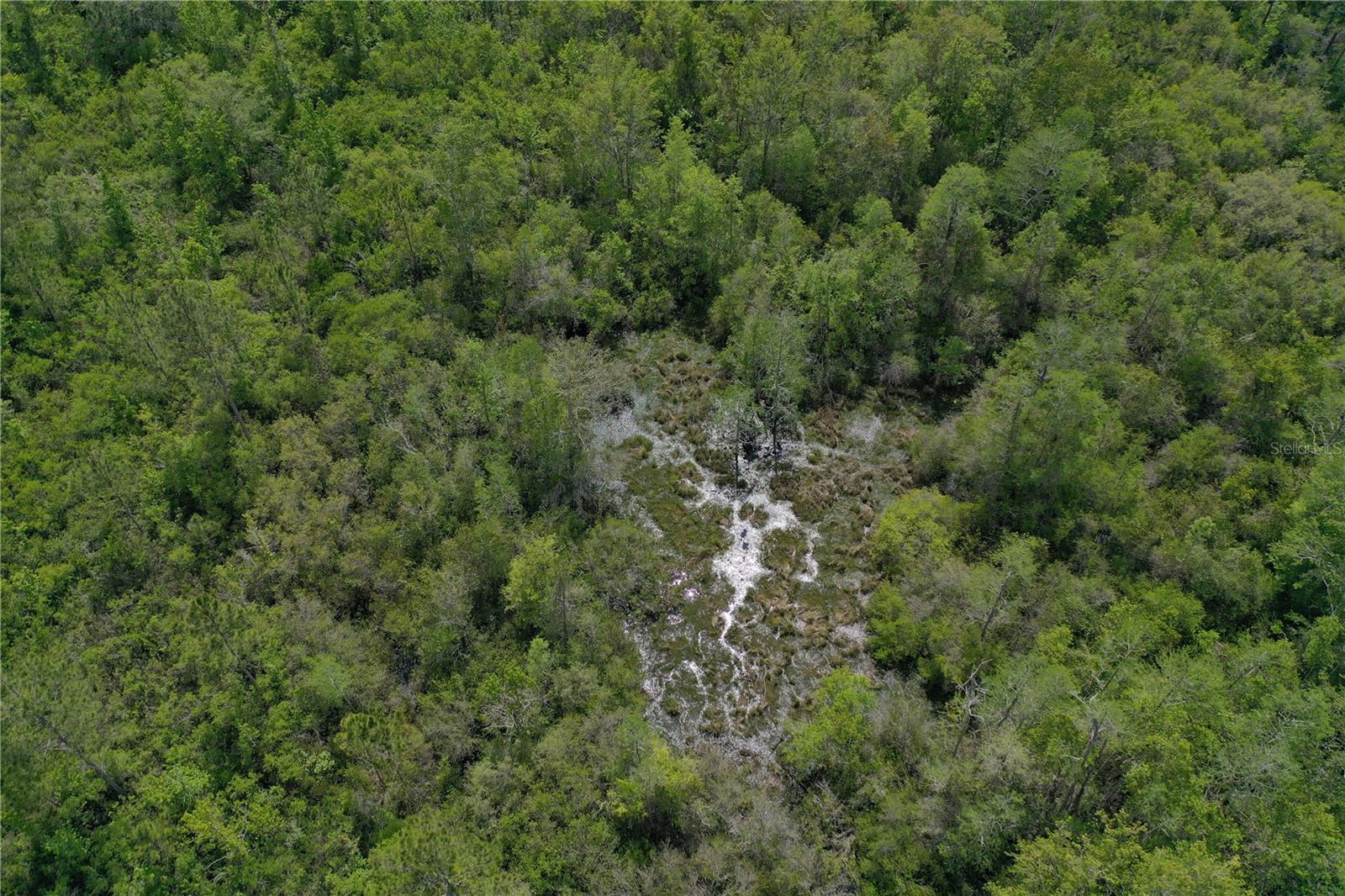 0 SW WINCHESTER TRL, GREENVILLE, FL, 32331