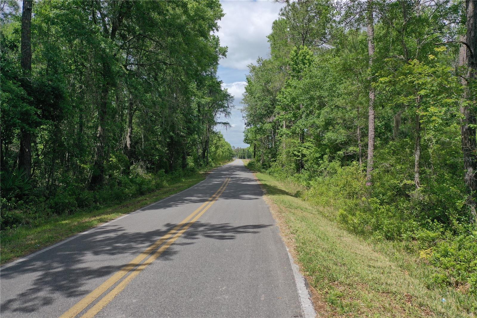 0 SW WINCHESTER TRL, GREENVILLE, FL, 32331