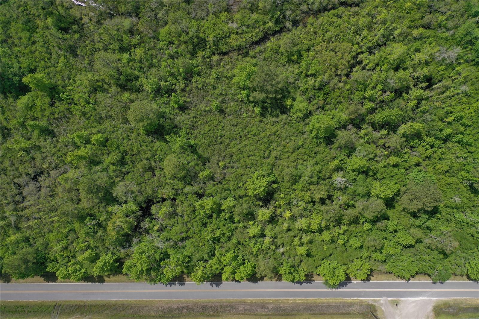 0 SW WINCHESTER TRL, GREENVILLE, FL, 32331