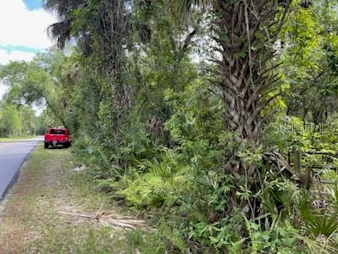8107 W MAYFAIR DR, HOMOSASSA, FL, 34448
