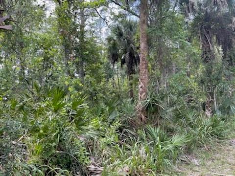 8107 W MAYFAIR DR, HOMOSASSA, FL, 34448
