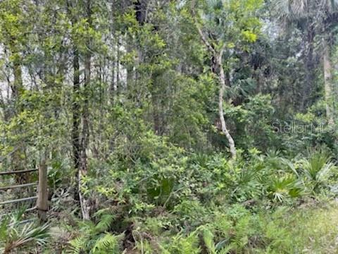 8107 W MAYFAIR DR, HOMOSASSA, FL, 34448