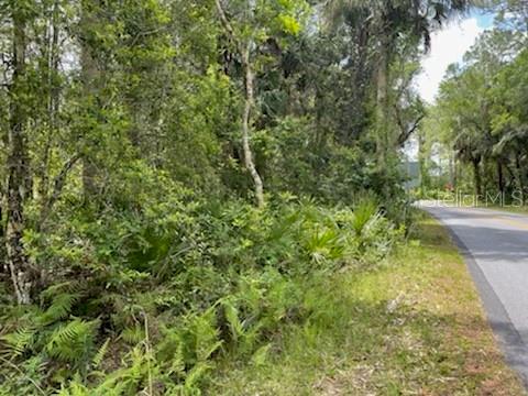 8107 W MAYFAIR DR, HOMOSASSA, FL, 34448