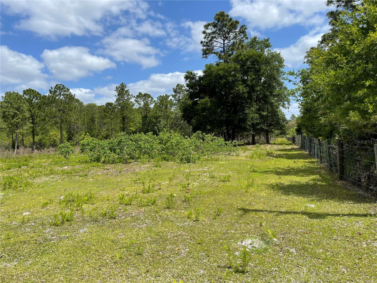 8107 W MAYFAIR DR, HOMOSASSA, FL, 34448