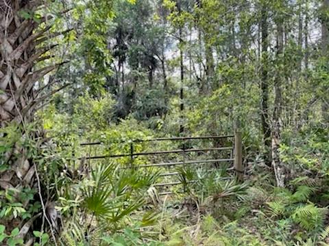 8107 W MAYFAIR DR, HOMOSASSA, FL, 34448