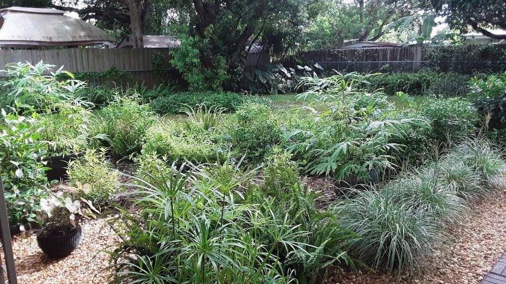 4039 CITRUS DR, NEW PORT RICHEY, FL, 34652