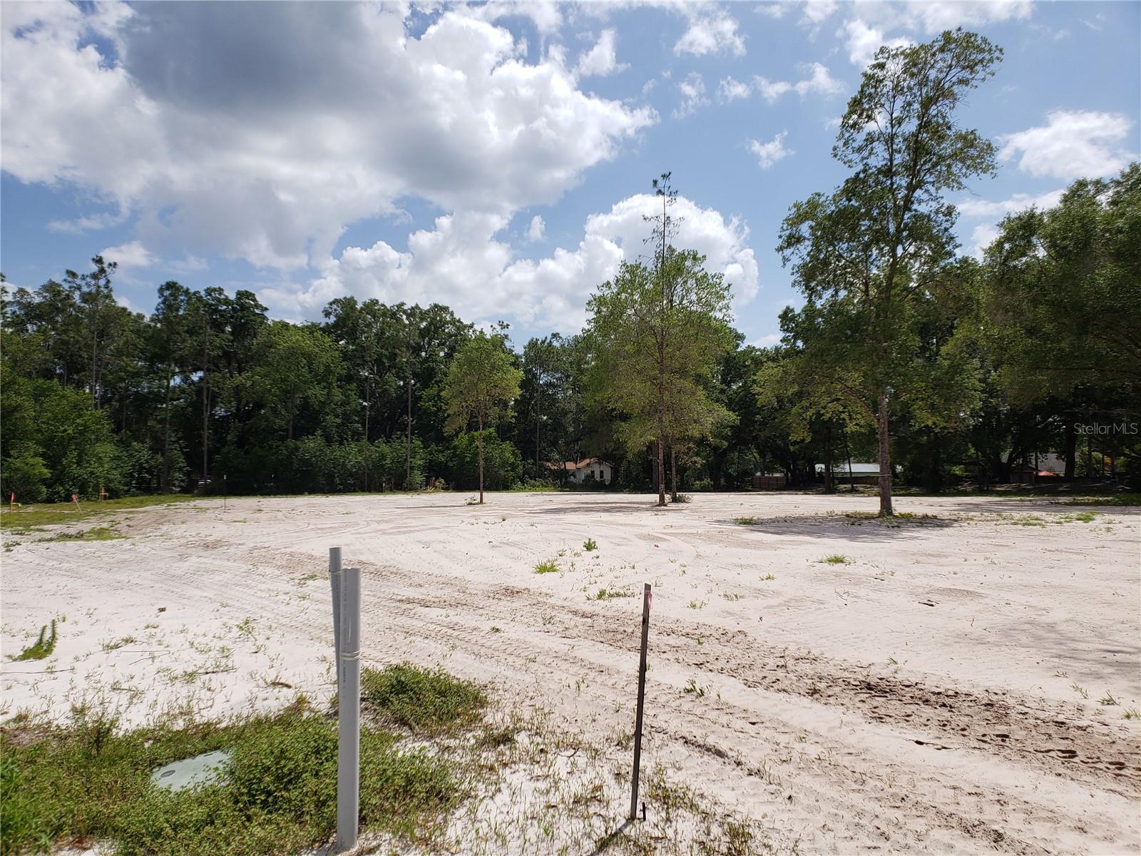 997 GRACE FARM DR, LUTZ, FL, 33549