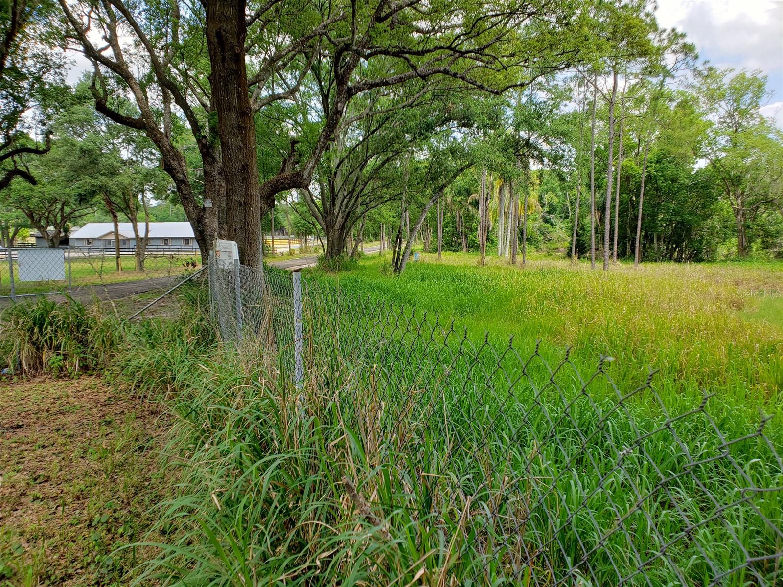 997 GRACE FARM DR, LUTZ, FL, 33549